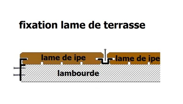 lame de ipe