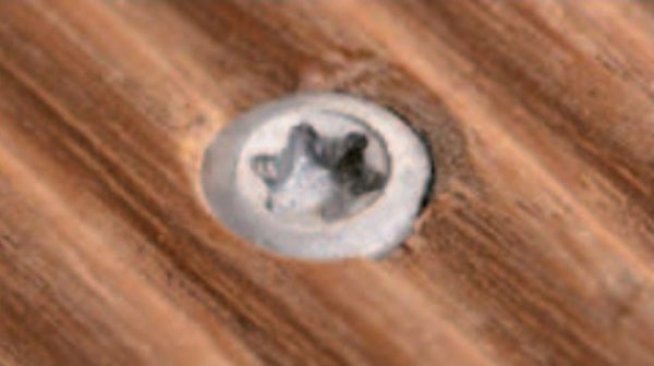 vis torx